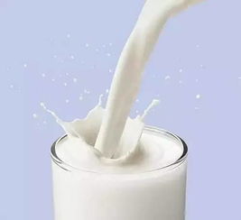 乳制品行业起底大调查 国产奶，你在怕什么？